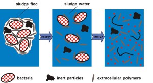 Picture2- Destruction of biosolids